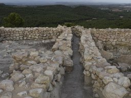 Yacimiento de la Almoloya 2023